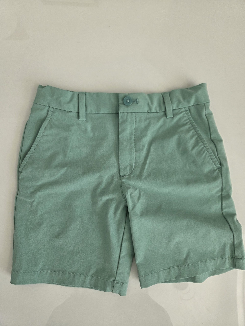 Boys Casual Mint Green Performance Shorts